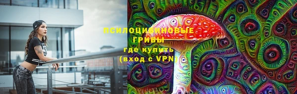 гашик Абинск