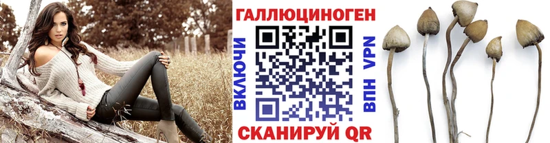 Псилоцибиновые грибы MAGIC MUSHROOMS  цены   Разумное 
